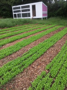 9380_624841890883579_1467407720_n