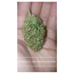 jennuine-art-photography